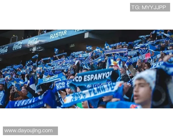 西班牙人俱乐部中资背景的影响与发展探讨